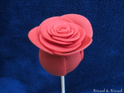 CakePop Rose
